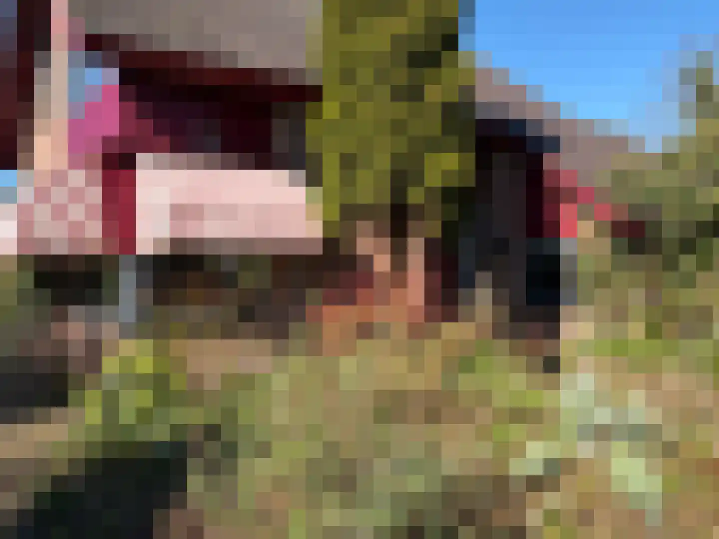 Tripkouw 1 Midwoud thumbnail 23