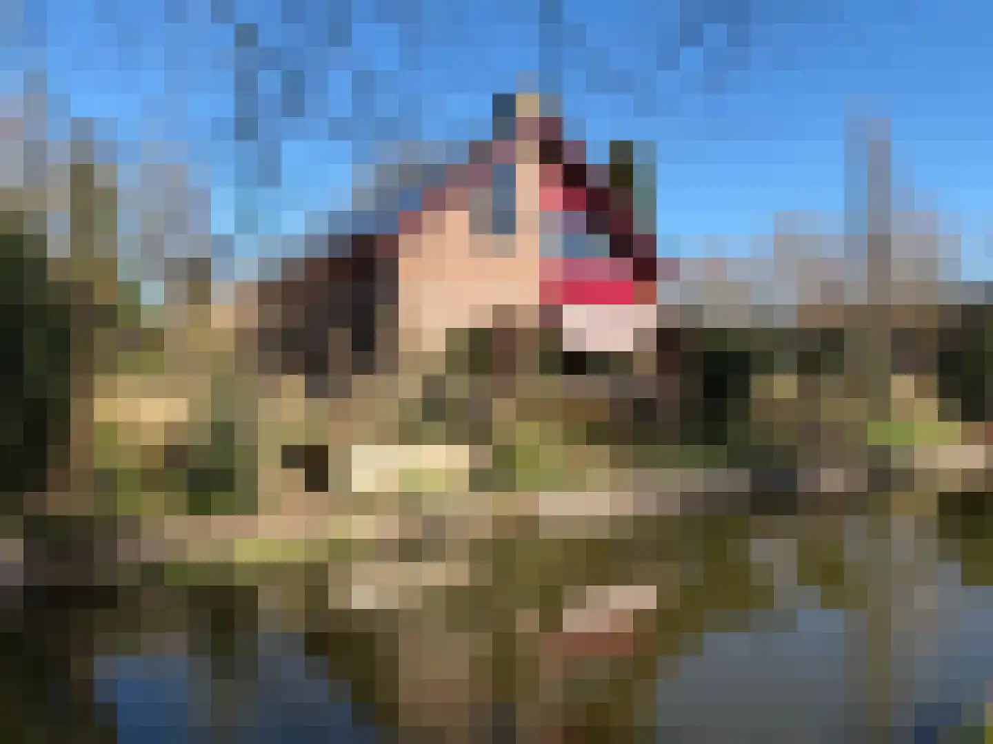 Tripkouw 1 Midwoud thumbnail 24