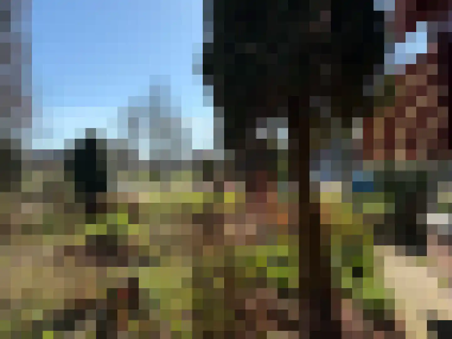 Tripkouw 1 Midwoud thumbnail 25