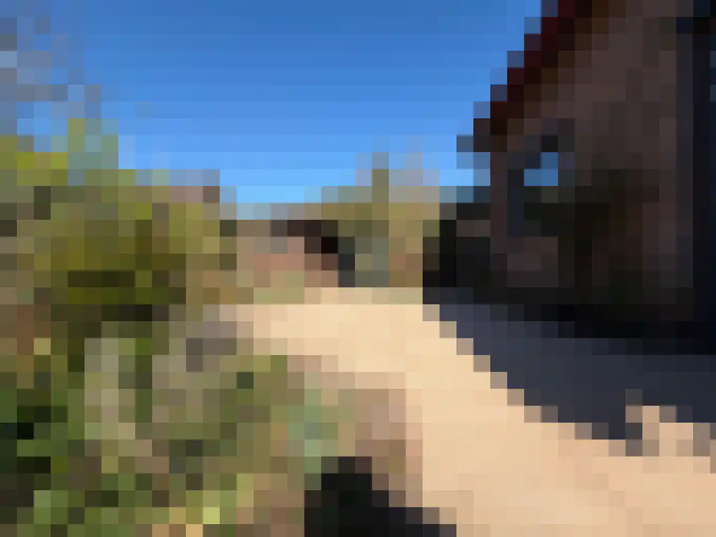 Tripkouw 1 Midwoud thumbnail 27