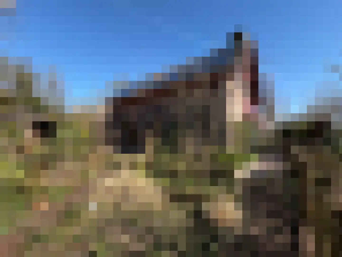 Tripkouw 1 Midwoud thumbnail 28