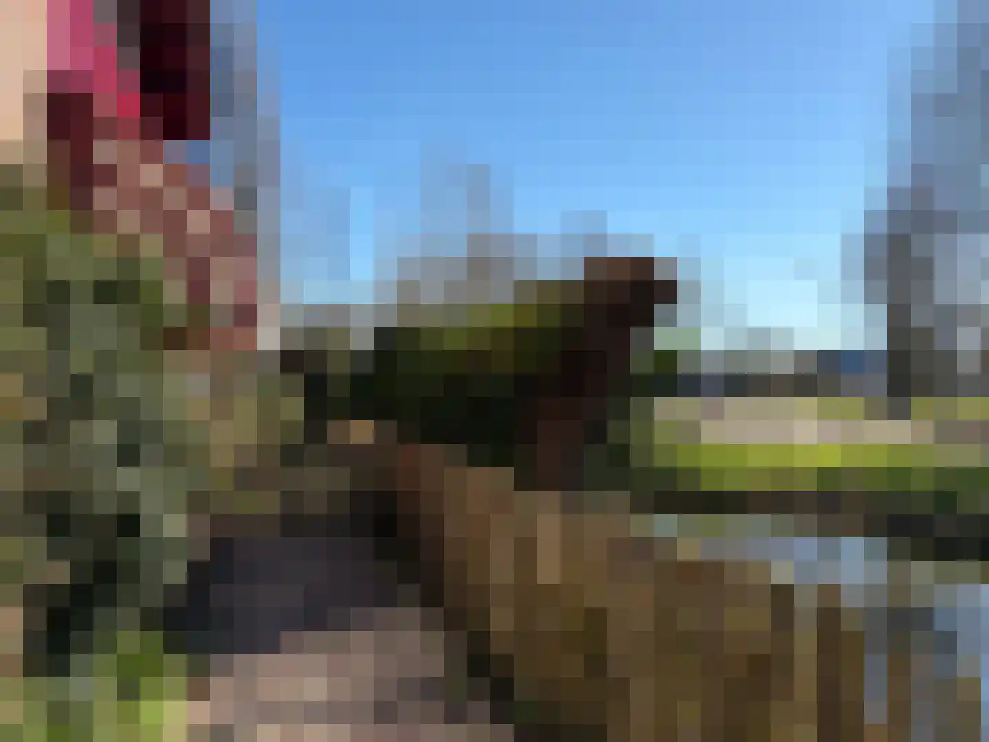 Tripkouw 1 Midwoud thumbnail 29
