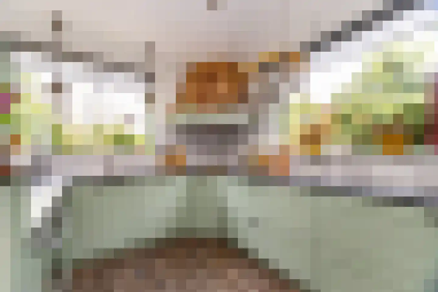 Tripkouw 1 Midwoud foto 3