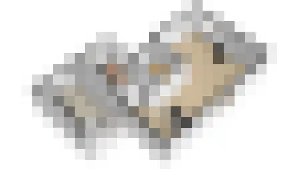 Tripkouw 1 Midwoud thumbnail 32