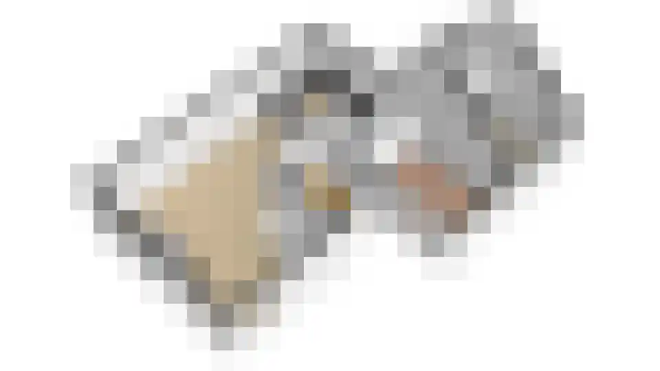 Tripkouw 1 Midwoud thumbnail 34
