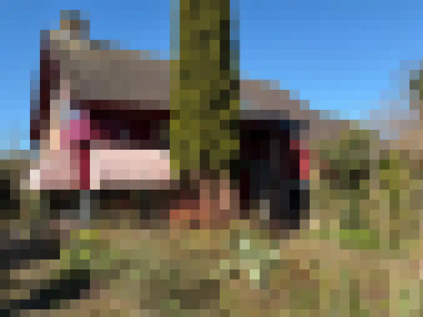 Tripkouw 1 Midwoud thumbnail 4