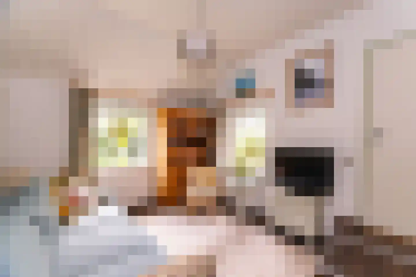 Tripkouw 1 Midwoud thumbnail 9