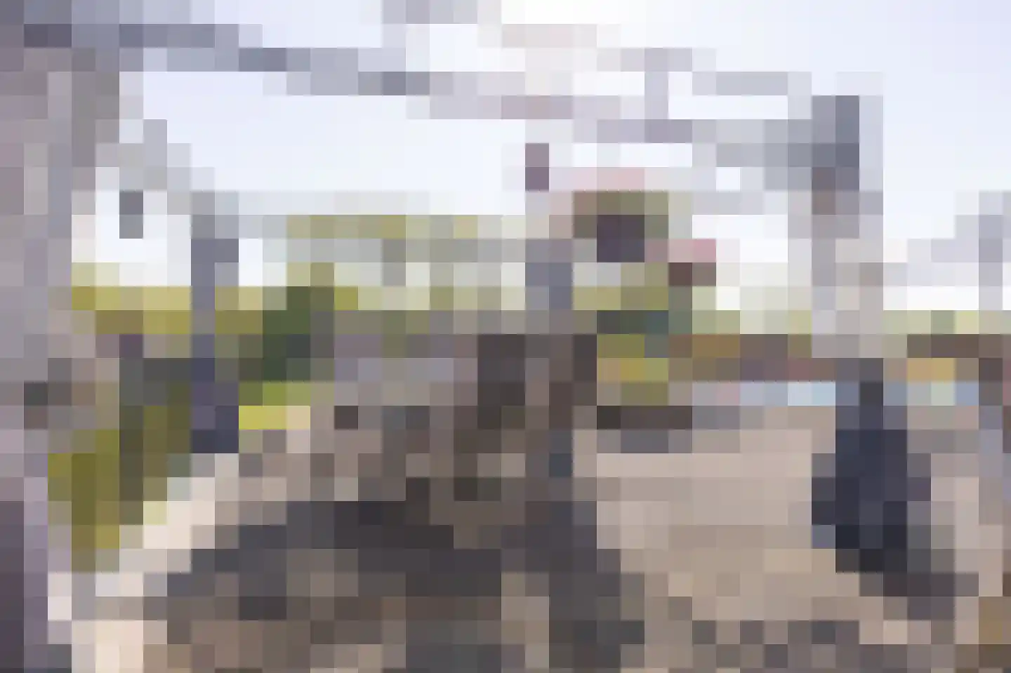 Tripkouw 42 Midwoud thumbnail 12
