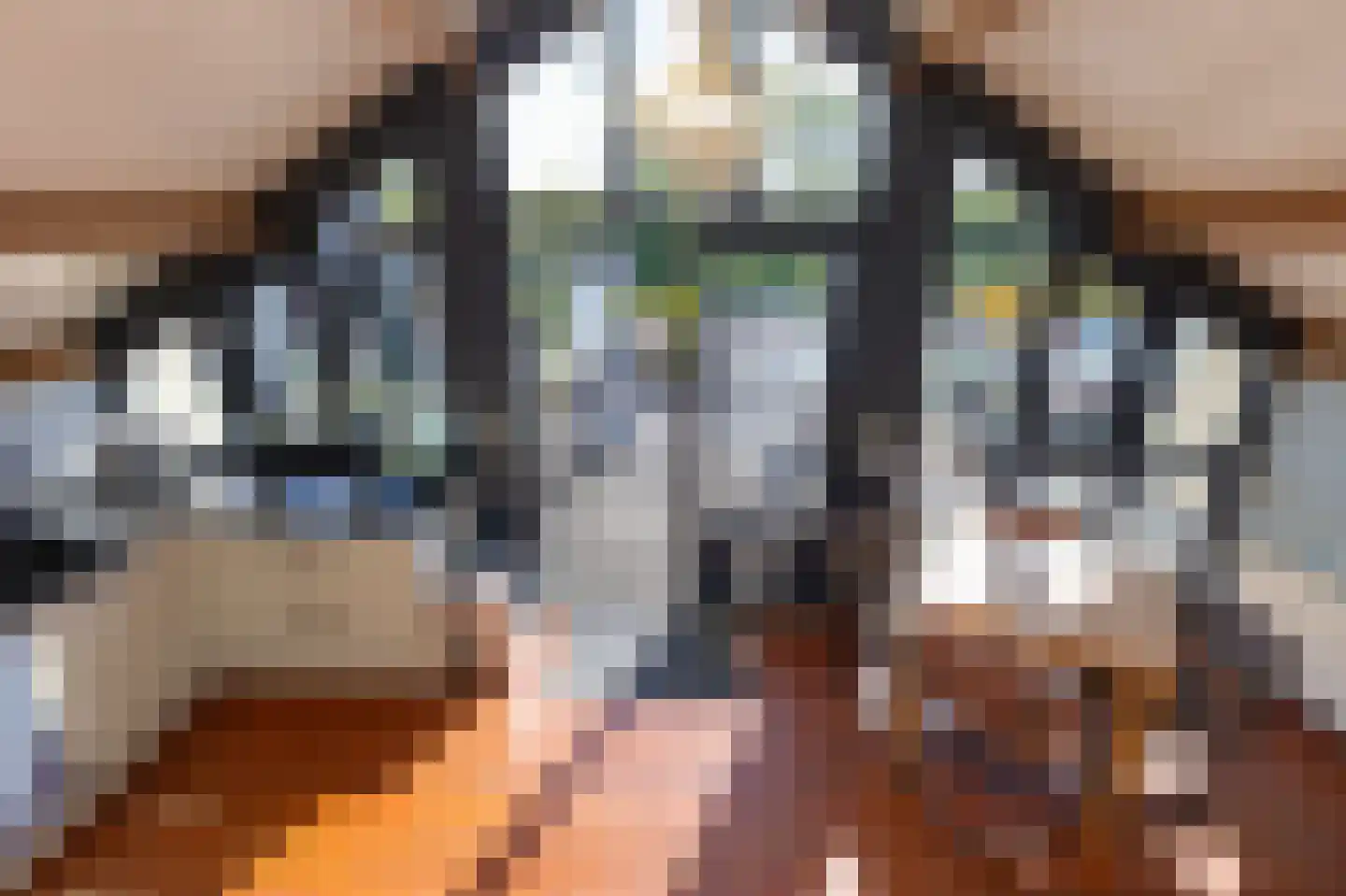 Tripkouw 42 Midwoud thumbnail 16