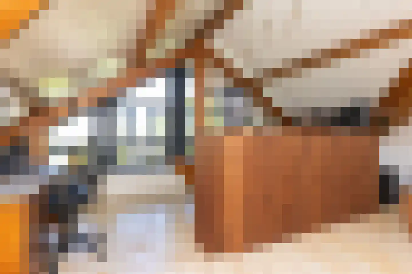 Tripkouw 42 Midwoud thumbnail 31