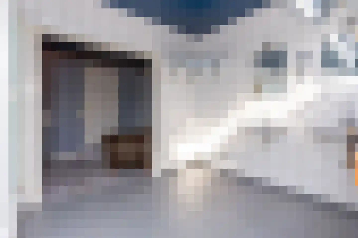 Tripkouw 42 Midwoud thumbnail 39
