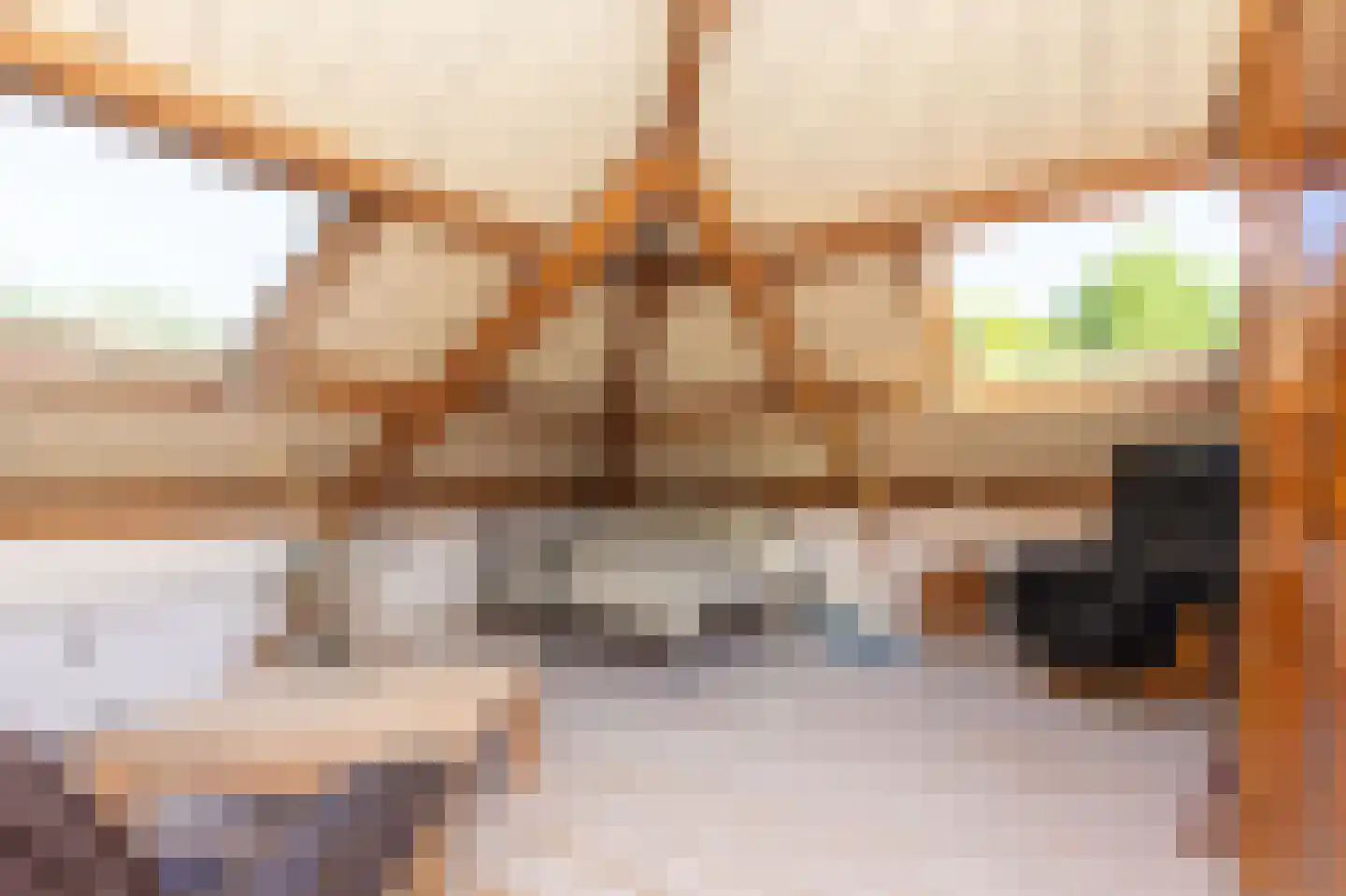 Tripkouw 42 Midwoud thumbnail 42