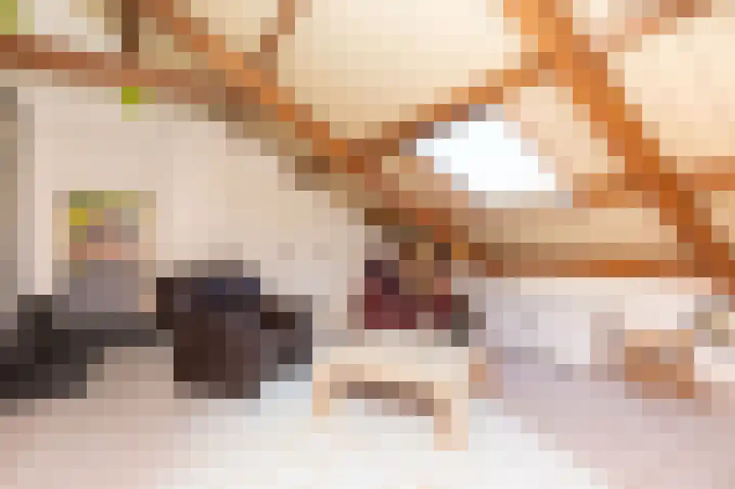 Tripkouw 42 Midwoud thumbnail 44