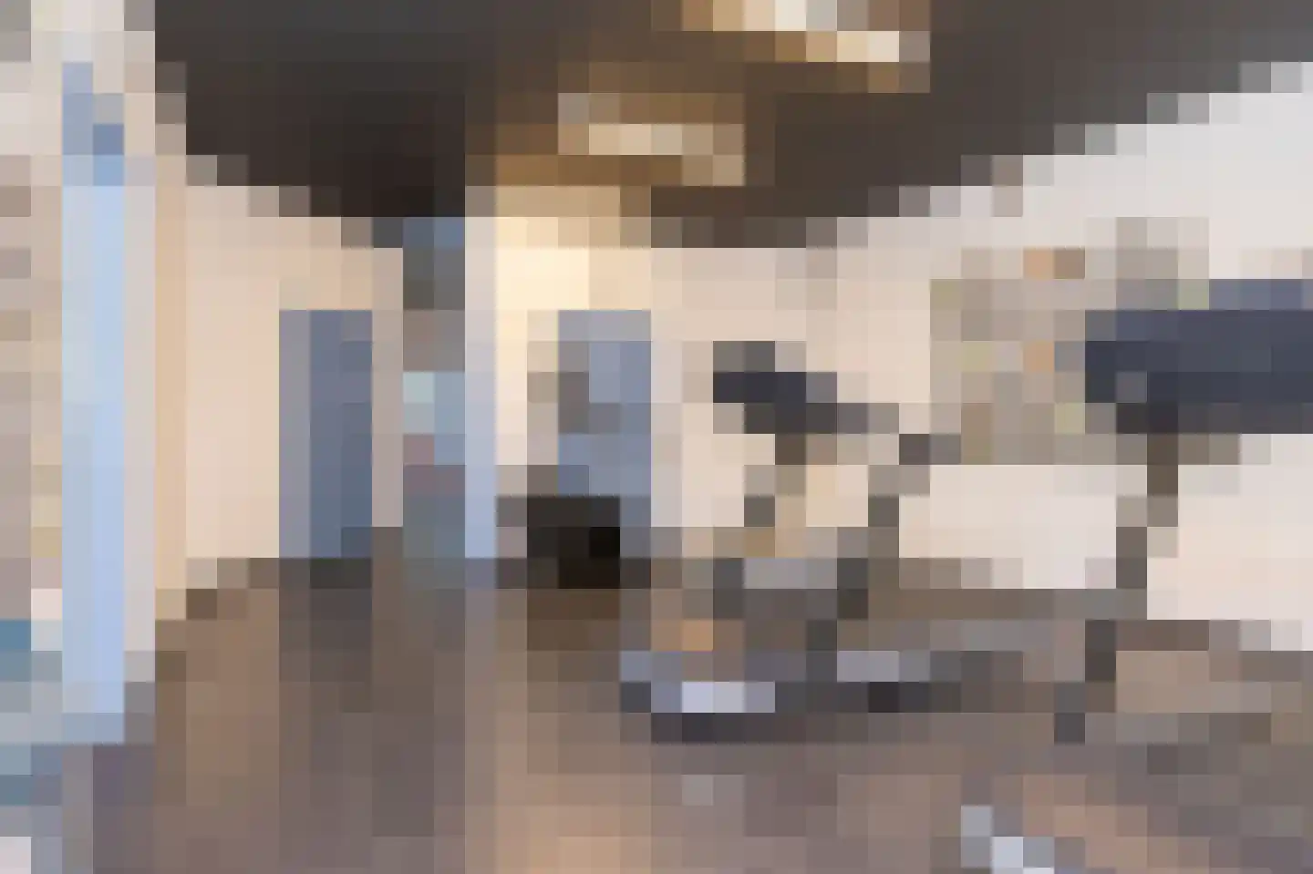 Tripkouw 42 Midwoud thumbnail 61