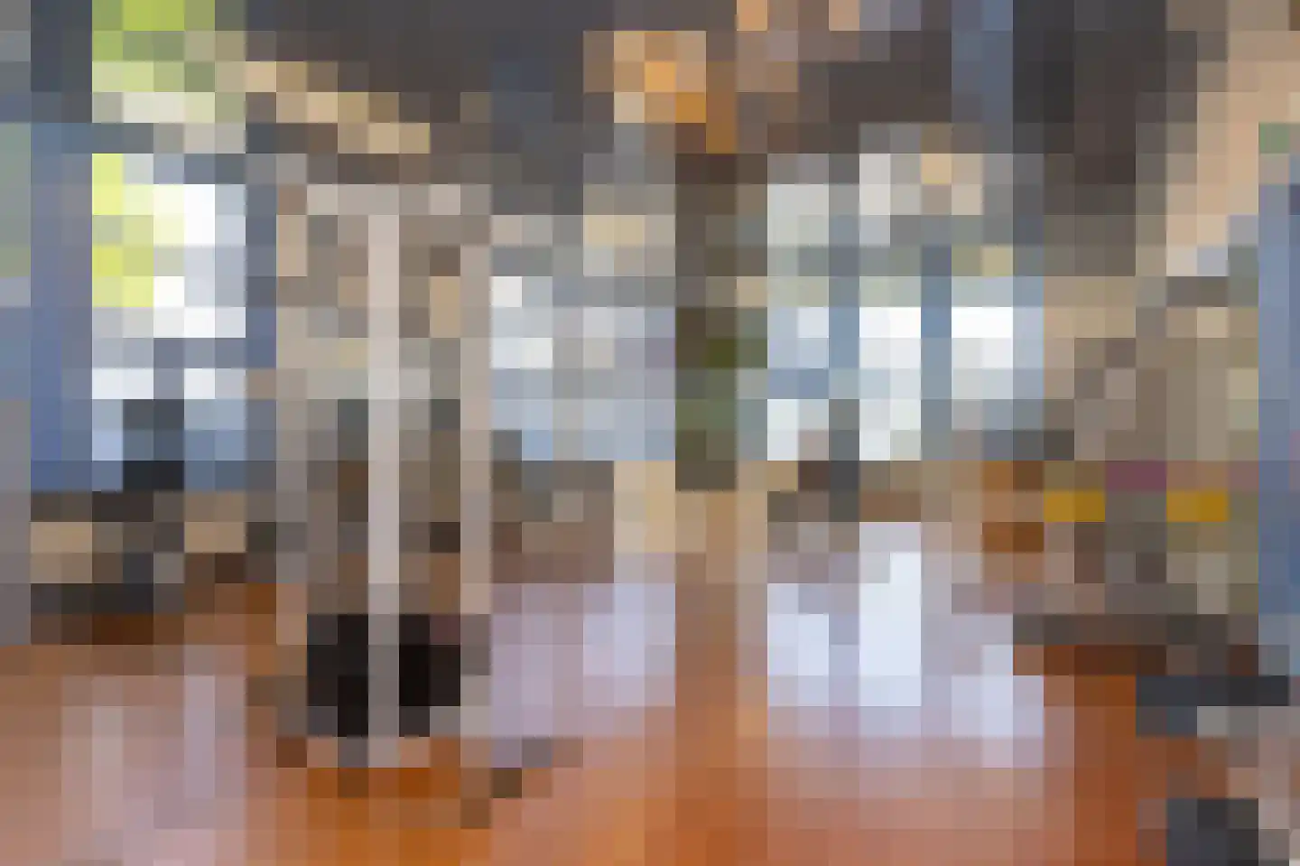 Tripkouw 42 Midwoud thumbnail 63