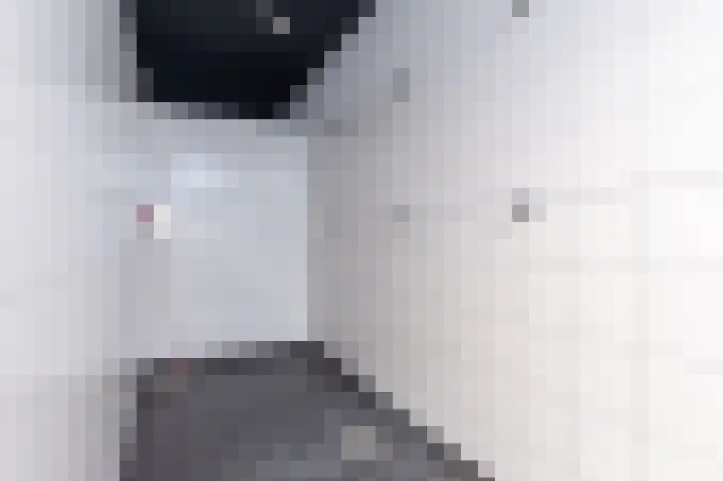 Tripkouw 42 Midwoud thumbnail 69