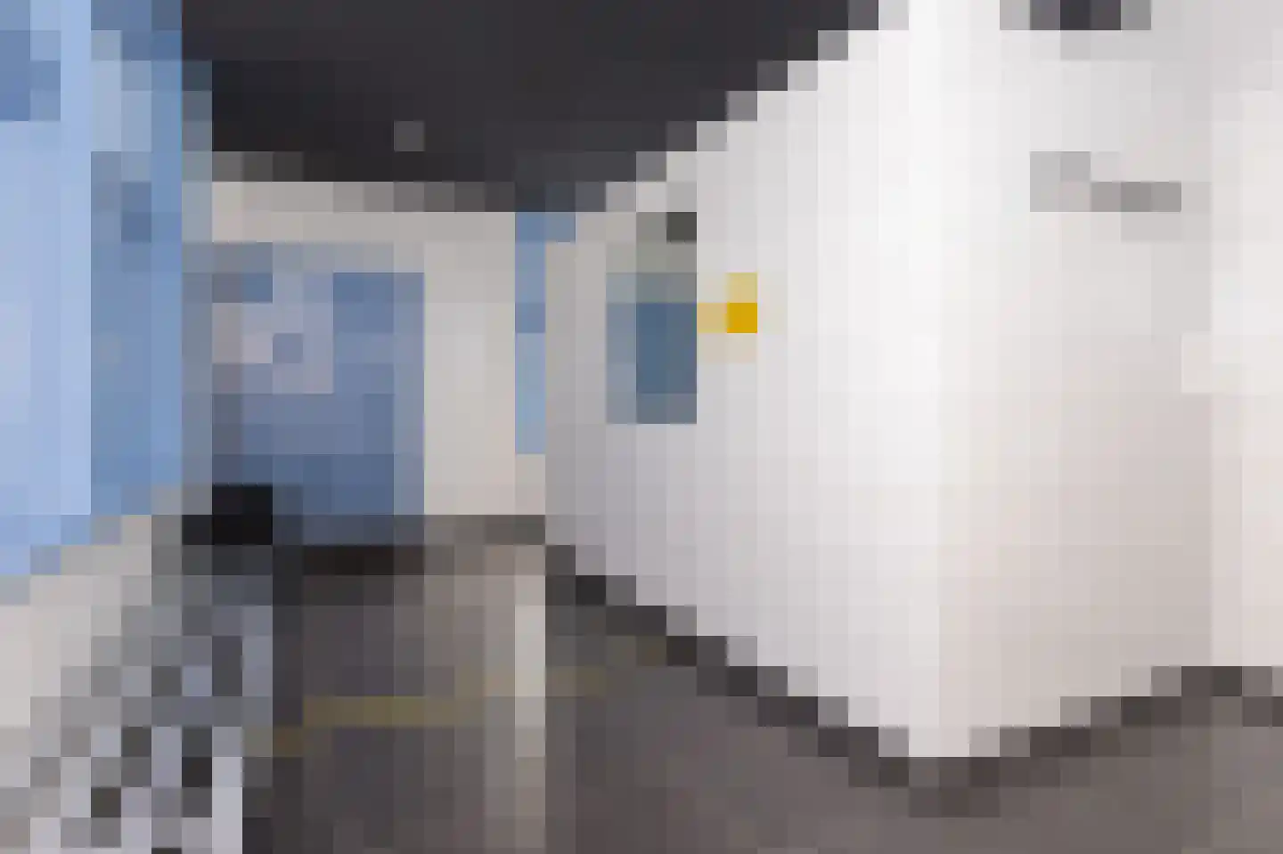 Tripkouw 42 Midwoud thumbnail 70