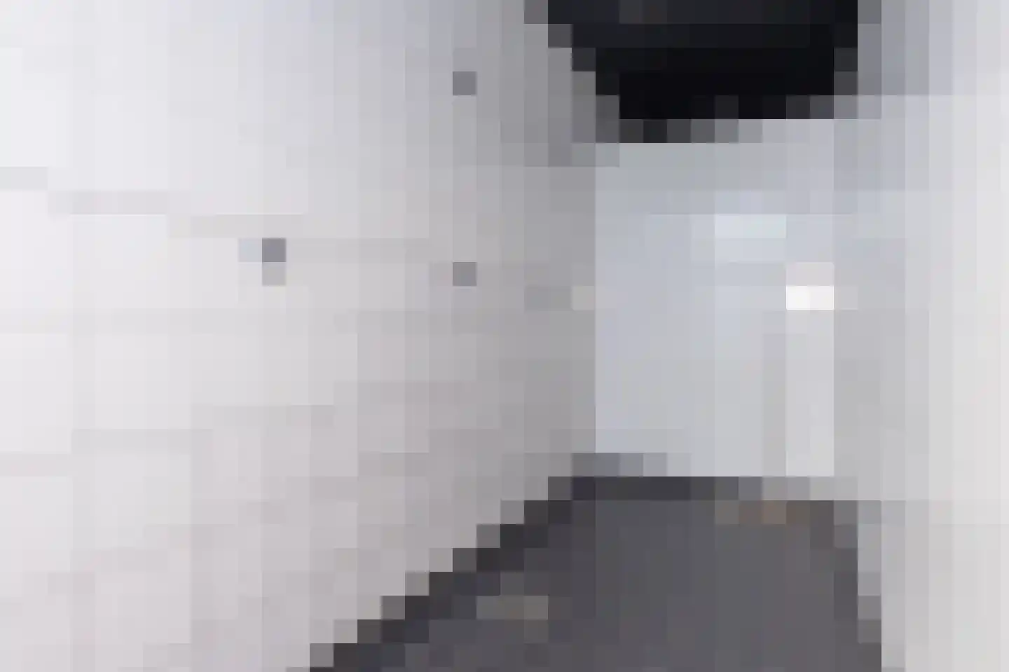 Tripkouw 42 Midwoud thumbnail 71