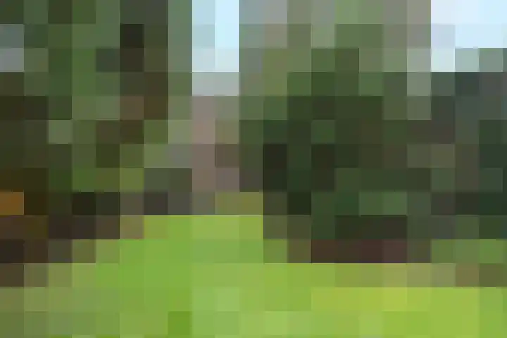 Tripolipad 6 Delft thumbnail 28
