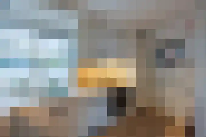 Tripolipad 6 Delft thumbnail 9