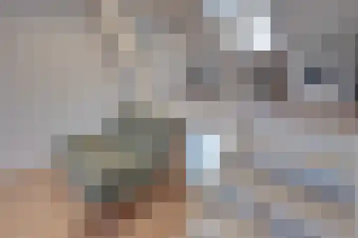 Trippaardstraat 21 a Thorn thumbnail 22