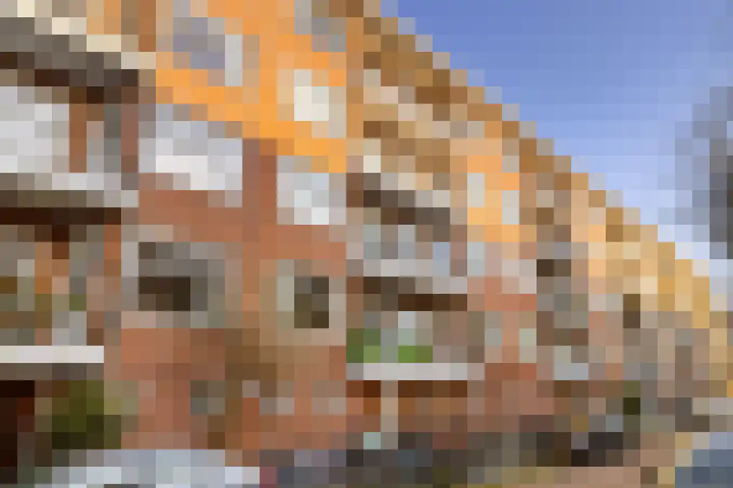 Trippaardstraat 21 a Thorn thumbnail 9