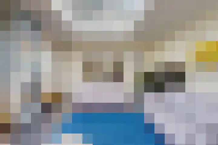 Trippaardstraat 25 Thorn thumbnail 11