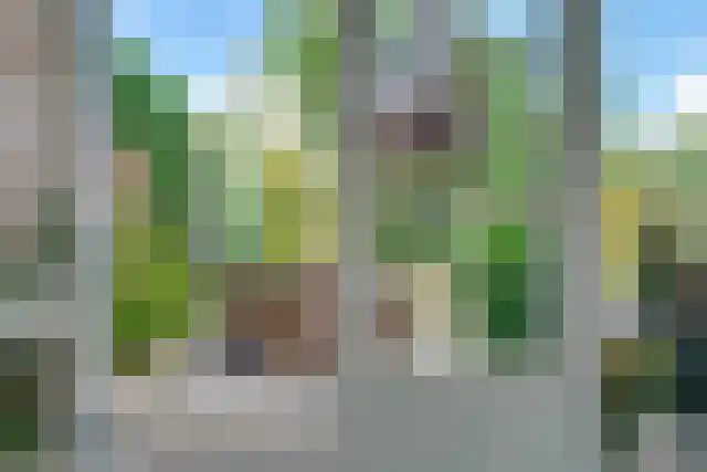 Trippaardstraat 25 Thorn thumbnail 17