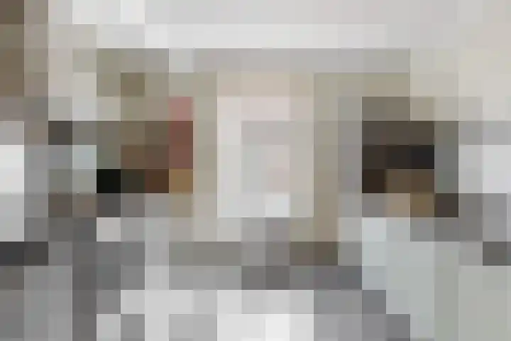 Trippaardstraat 25 Thorn thumbnail 21