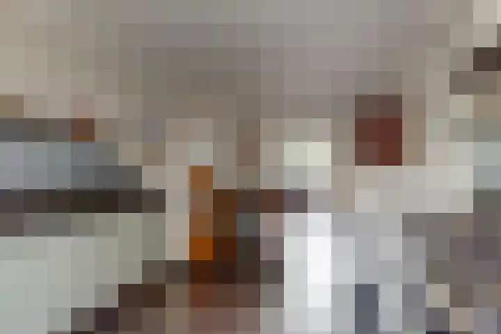 Trippaardstraat 25 Thorn thumbnail 26