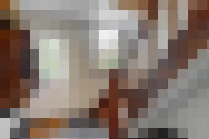 Trippaardstraat 25 Thorn thumbnail 29