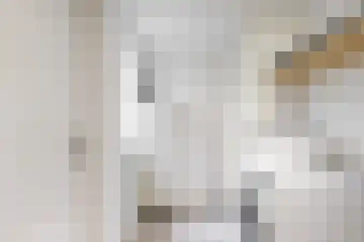 Trippaardstraat 25 Thorn thumbnail 34