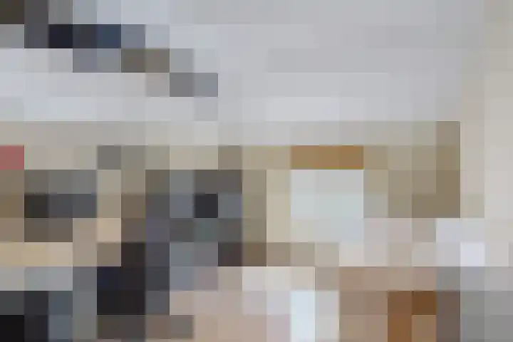 Trippaardstraat 25 Thorn thumbnail 41