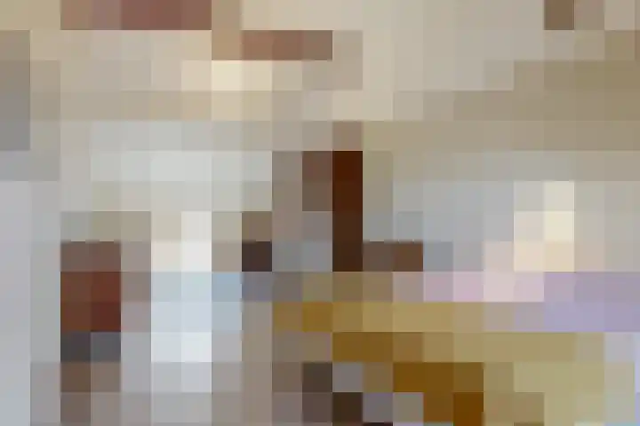 Trippaardstraat 25 Thorn thumbnail 47
