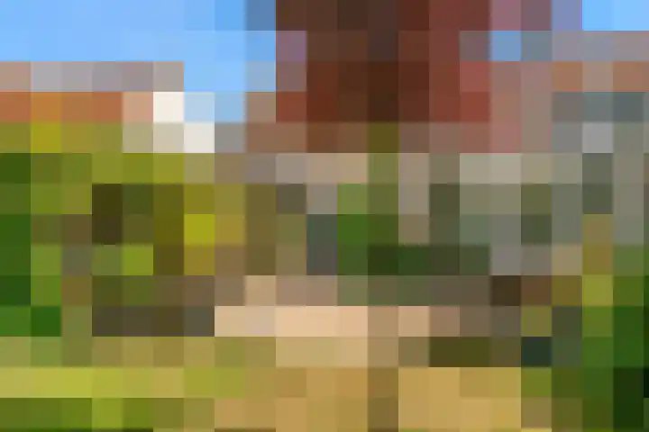 Trippaardstraat 25 Thorn thumbnail 5