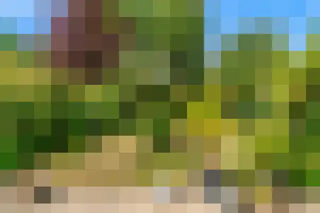 Trippaardstraat 25 Thorn thumbnail 6