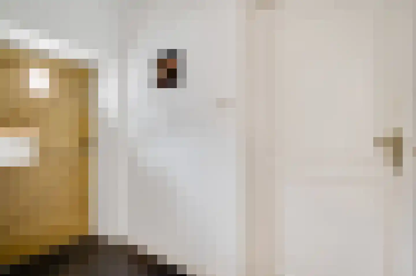 Trippaardstraat 33 Thorn thumbnail 10