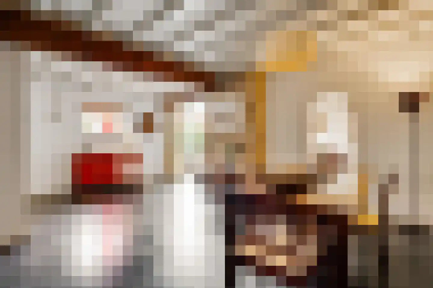 Trippaardstraat 33 Thorn thumbnail 11