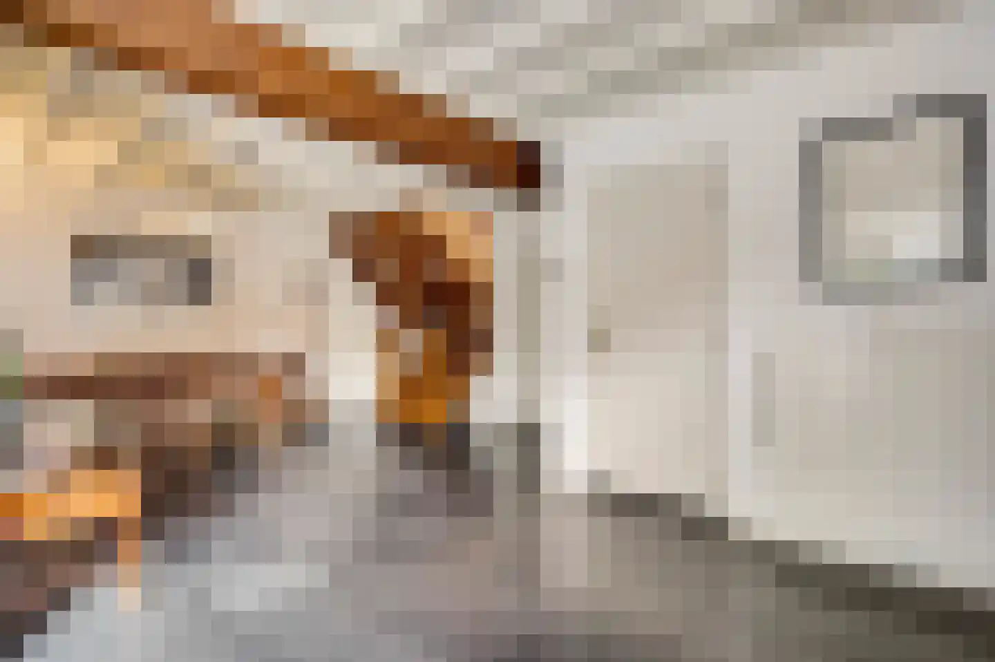 Trippaardstraat 33 Thorn thumbnail 13