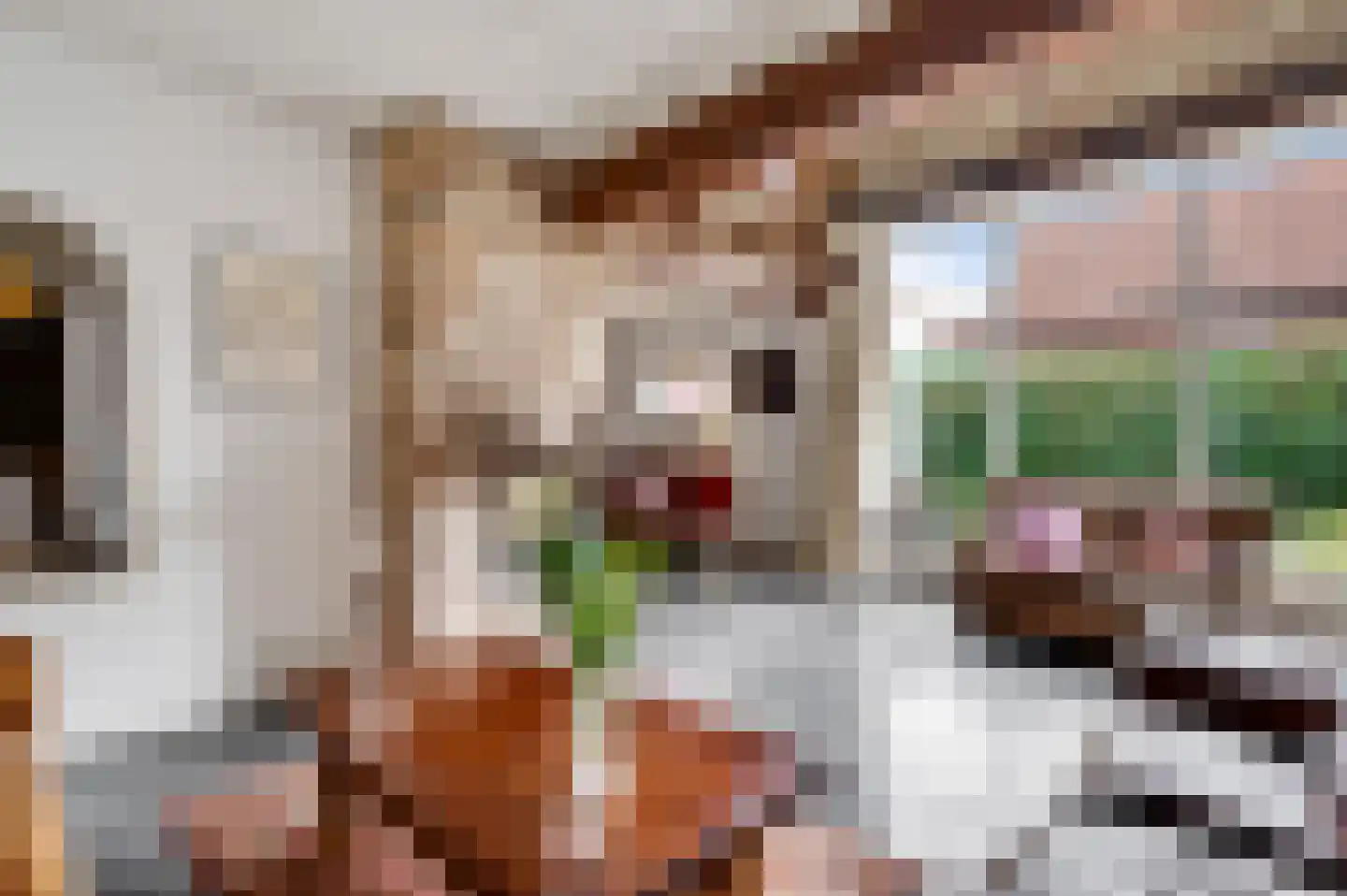 Trippaardstraat 33 Thorn thumbnail 16