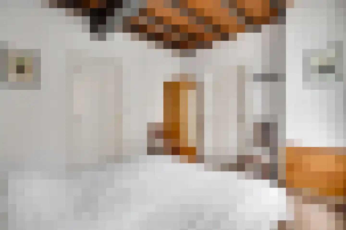Trippaardstraat 33 Thorn thumbnail 18