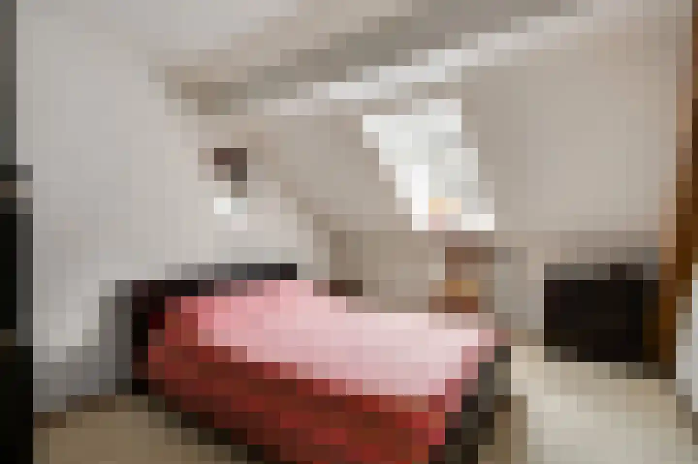 Trippaardstraat 33 Thorn thumbnail 36