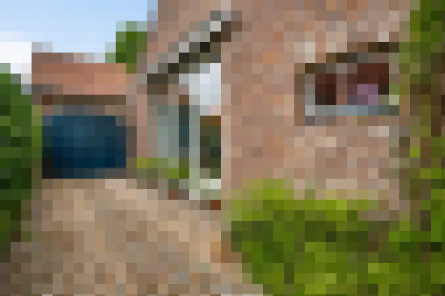 Trippaardstraat 33 Thorn thumbnail 4