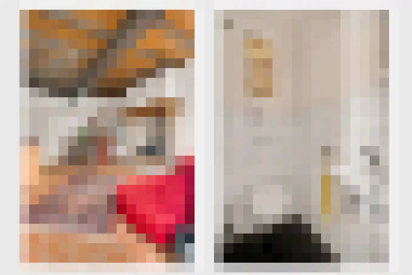 Trippaardstraat 33 Thorn thumbnail 6