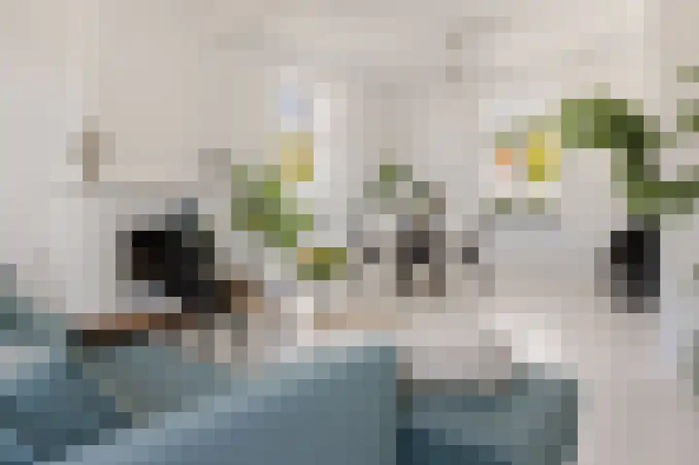 Trippaardstraat 34 Thorn thumbnail 11