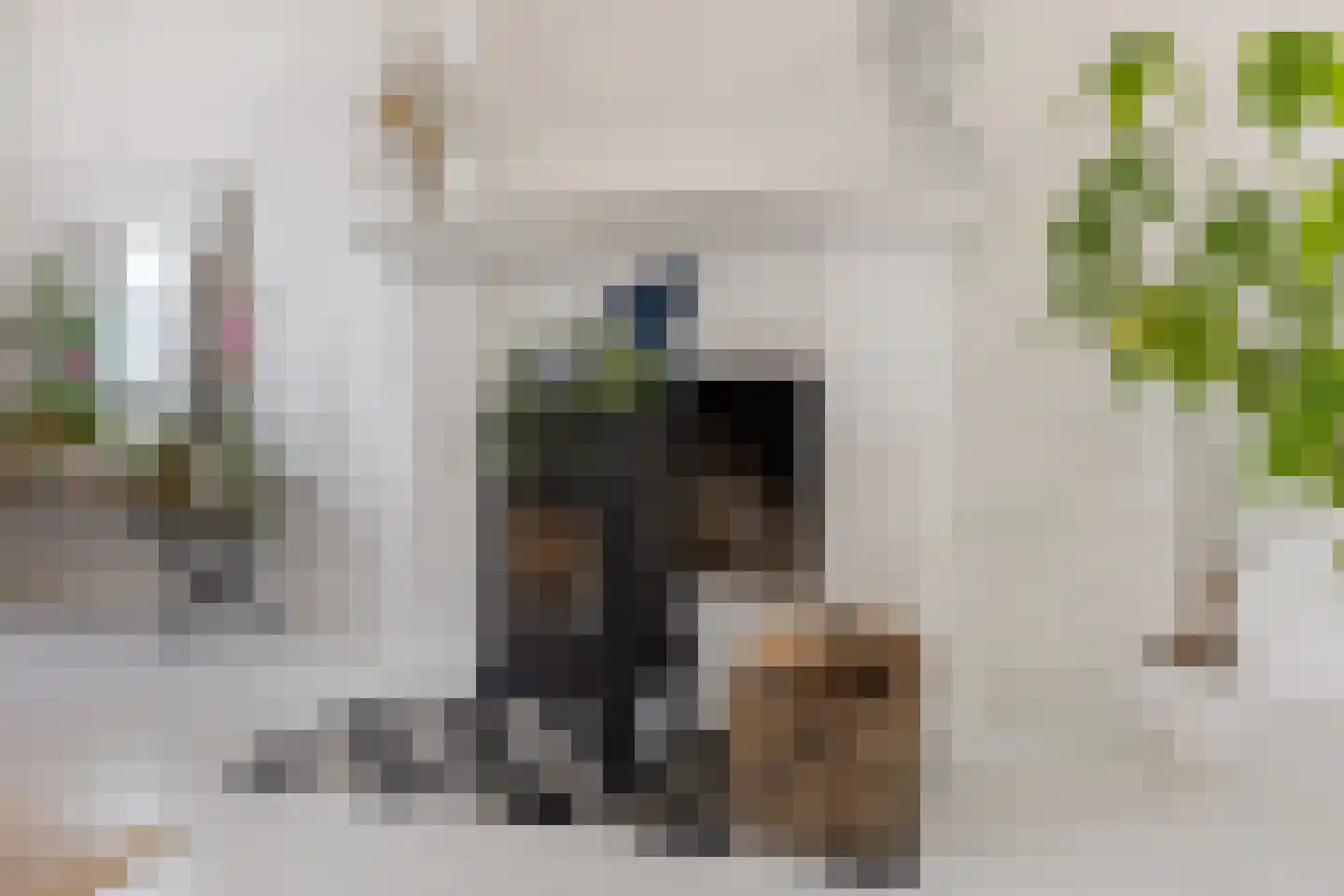 Trippaardstraat 34 Thorn thumbnail 12