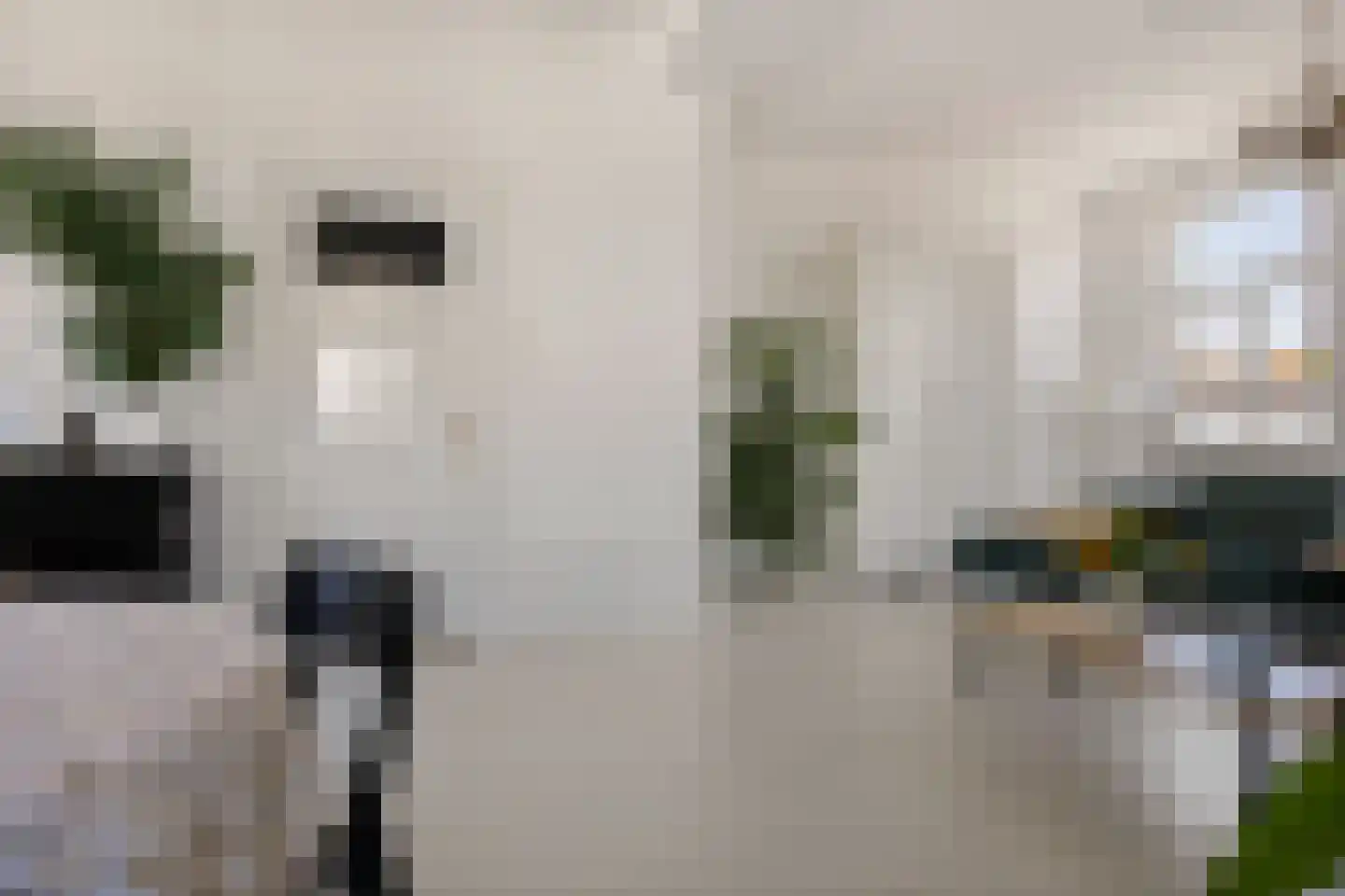 Trippaardstraat 34 Thorn thumbnail 16