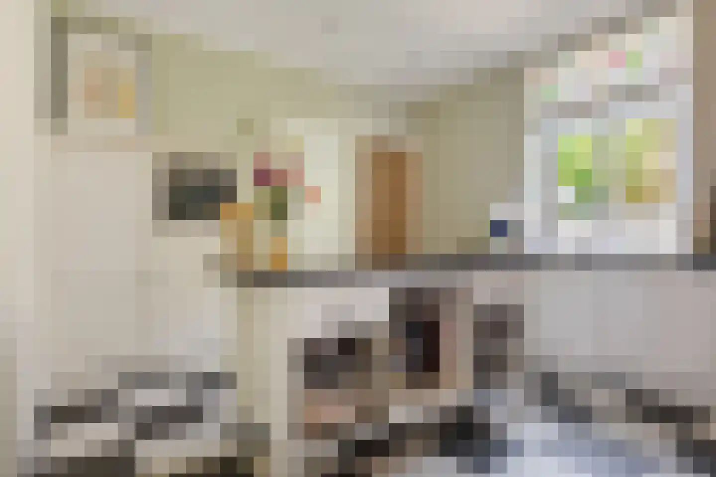 Trippaardstraat 34 Thorn thumbnail 24