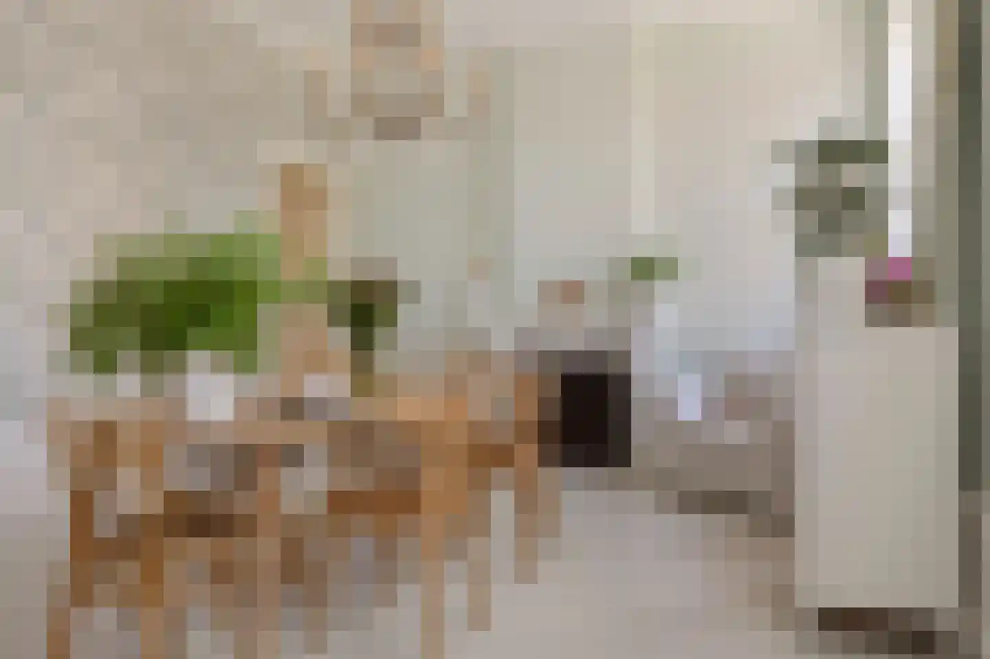 Trippaardstraat 34 Thorn thumbnail 27