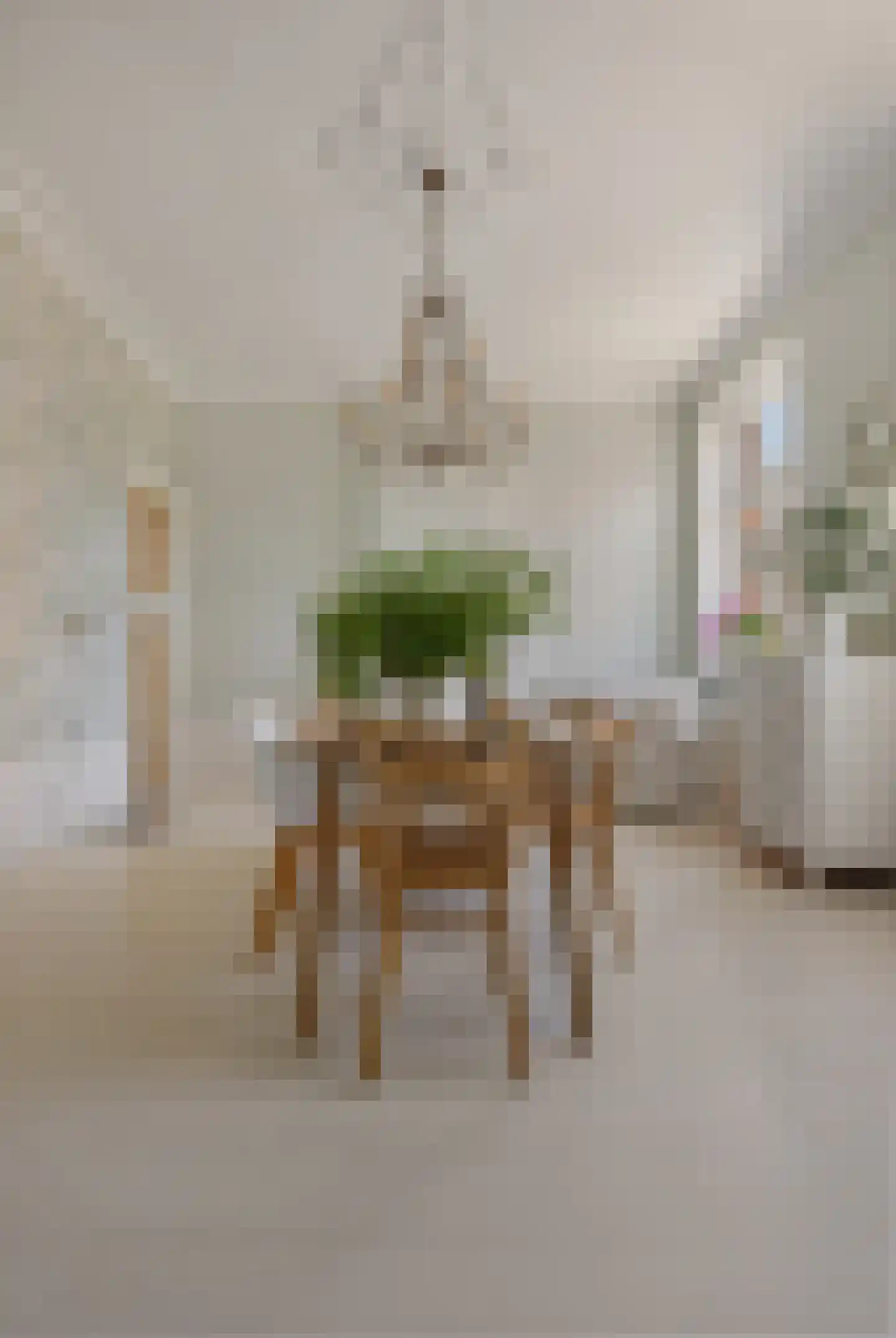 Trippaardstraat 34 Thorn thumbnail 29